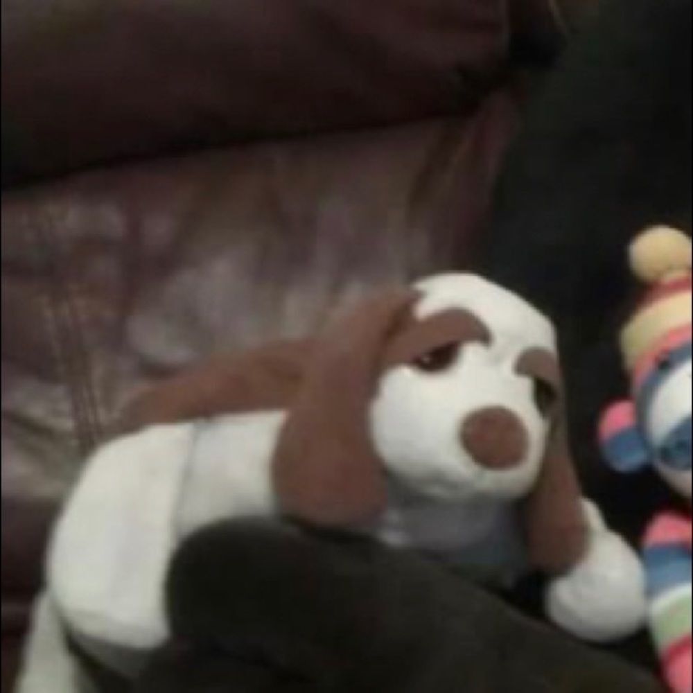 ISO this stuffed puppy pillow 🐶♥️